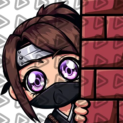 Ninja Chibi - HIDE - Emote