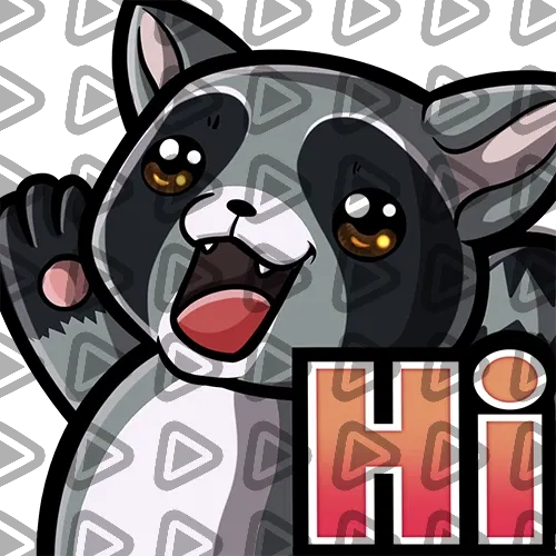 Raccoon - Grey - HI - Emote