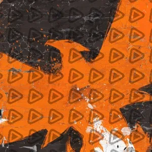 Division - Profile Picture