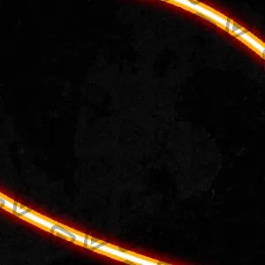 Neon - Profile Picture