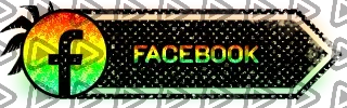 Call of Duty Surfin - Panel (Facebook)