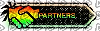 Call of Duty Surfin - Panel (Partners)