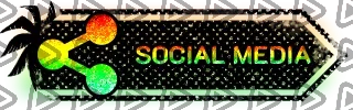 Call of Duty Surfin - Panel (Social Media)