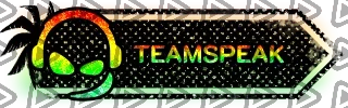 Call of Duty Surfin - Panel (TeamSpeak)