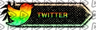 Call of Duty Surfin - Panel (Twitter)