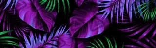 Tropical - Panel (Blank)