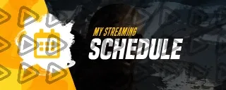 Vision - Panel (Schedule)