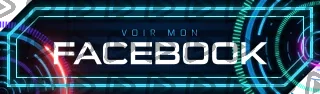 Timeline - Panel (Facebook)