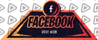 Fayzer - Panel (Facebook)