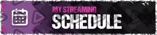 Call of Duty Headshot - Panel (Schedule)