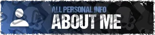 Call of Duty Cold Camo - Panel (About)