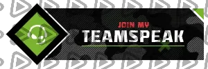 Call of Duty MW2 Special Ops - Panel (TeamSpeak)