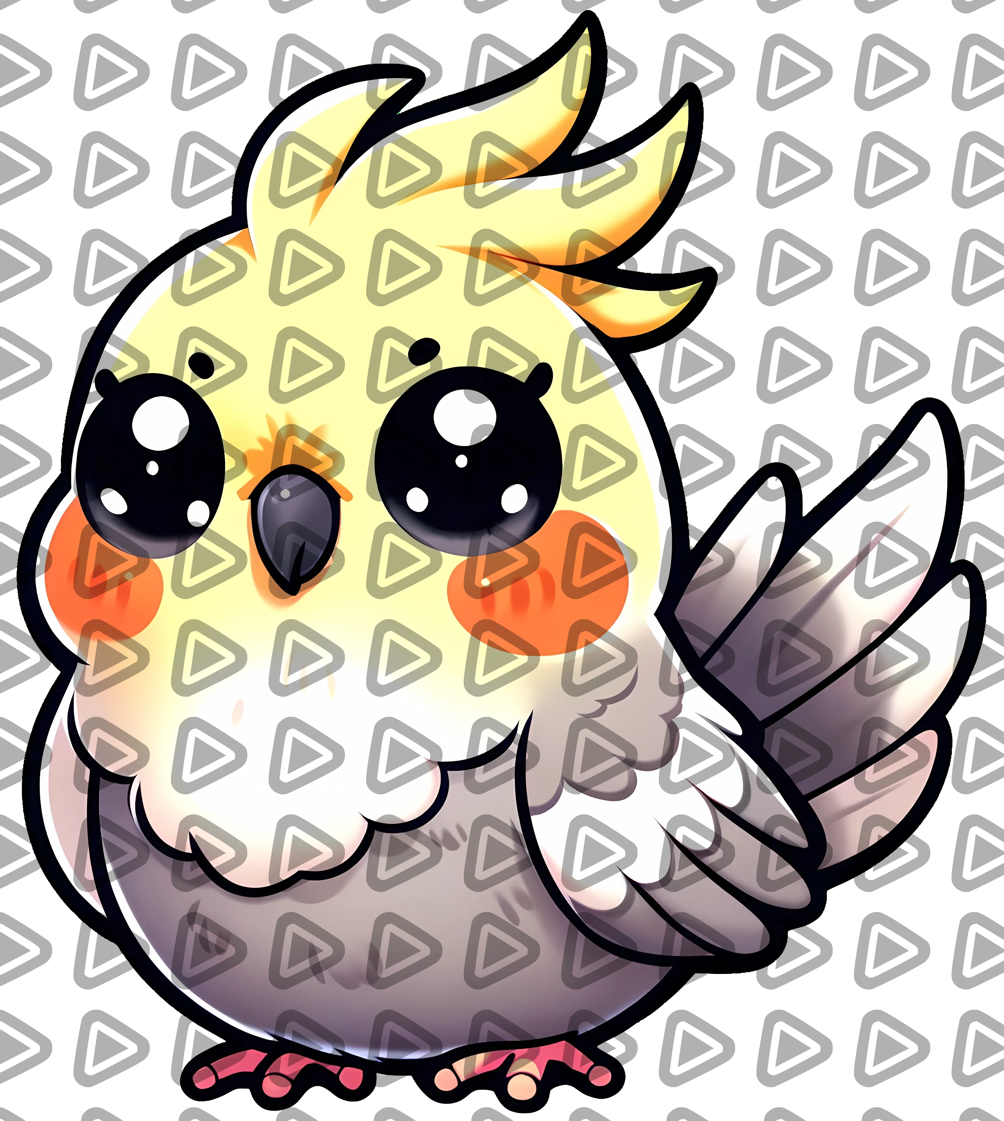 Cockatiel 4 - Animal