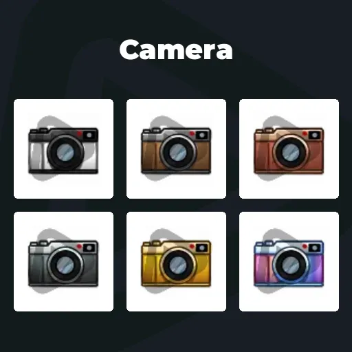 Camera