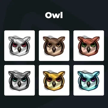 Owl