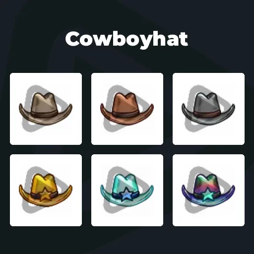 Cowboyhat