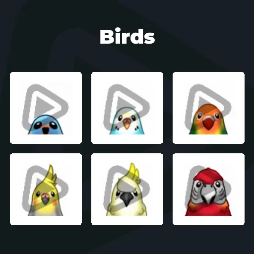 Birds