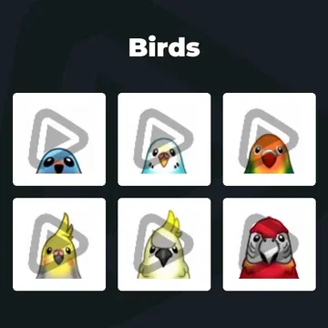 Birds