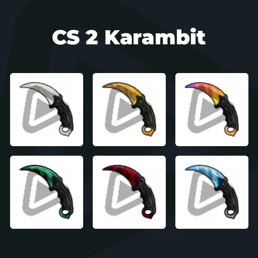 CS 2 Karambit
