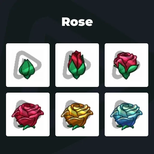 Rose