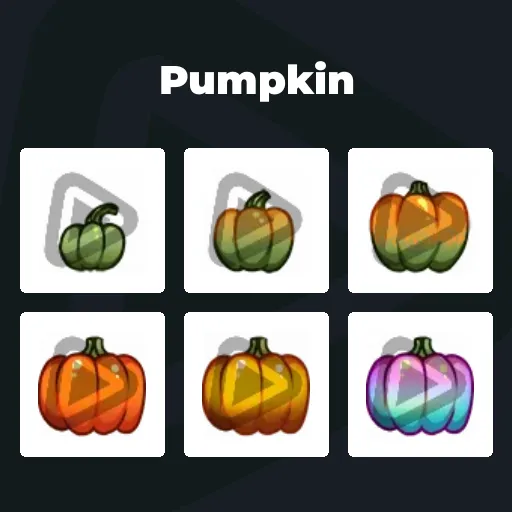 Pumpkin