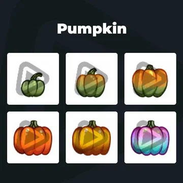 Pumpkin