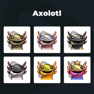 Axolotl