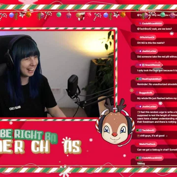 Pause Scene for Streamers Christmas