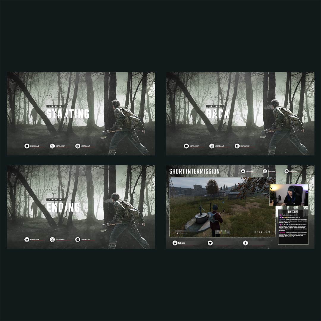 Stream Overlay Collection for DayZ - Infected