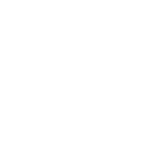 Aspect - Social Icon Reddit