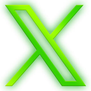 Borealis - Social Icon Twitter