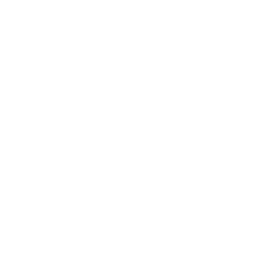 PixelWorld - Social Icon Discord