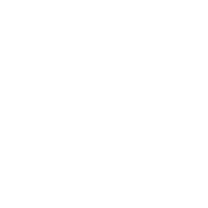 PixelWorld - Social Icon Linkedin