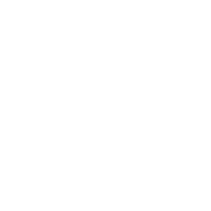 PixelWorld - Social Icon Nintendo