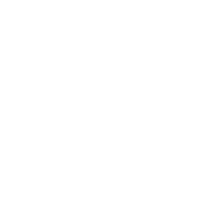 PixelWorld - Social Icon Spotify