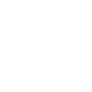 PixelWorld - Social Icon VK