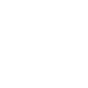 Skylla - Social Icon Discord