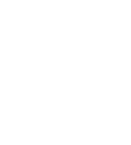 Spaceship - Social Icon Kick