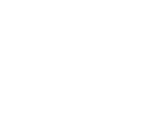 TheftCity - Alert Icon Merch