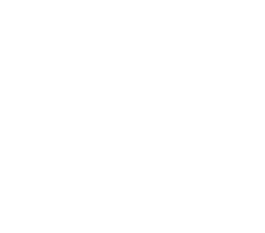Trizone - Alert Icon Follower