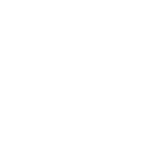 Trizone - Social Icon Kick