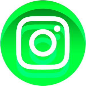 Verdant - Social Icon Instagram