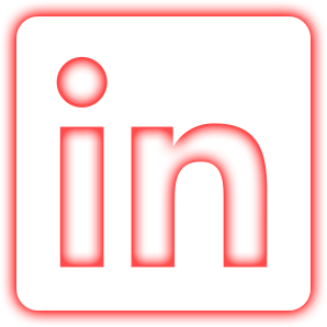 Warrior - Social Icon Linkedin