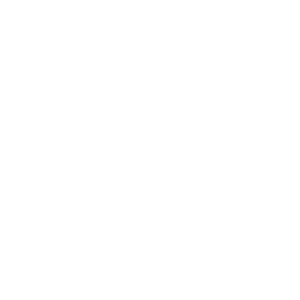 Warzone - Social Icon Instagram
