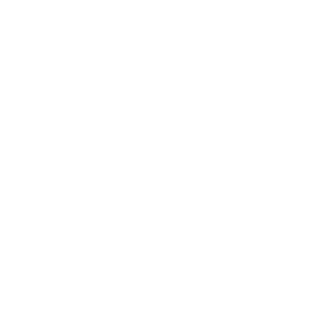 Warzone - Social Icon Spotify