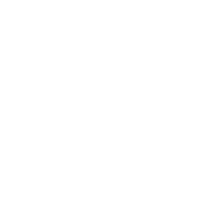 Warzone - Social Icon Twitch