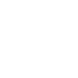 Wolves - Social Icon Nintendo