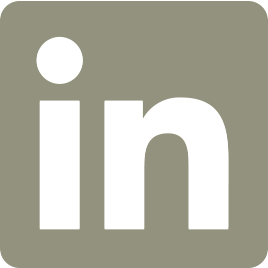 Worlds - Social Icon Linkedin