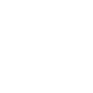 Ghost - Social Icon Instagram