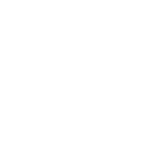 Ghost - Social Icon TikTok